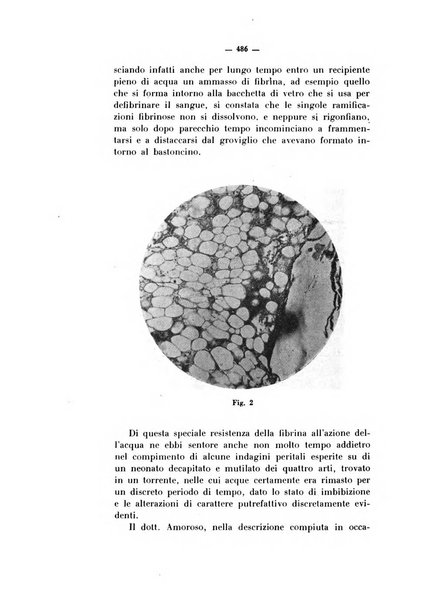 Archivio di antropologia criminale, psichiatria e medicina legale organo ufficiale della Associazione italiana di medicina legale e delle assicurazioni