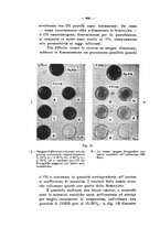 giornale/TO00177017/1938/unico/00000940