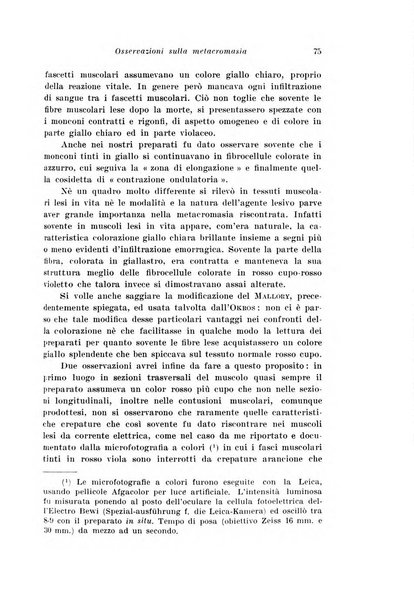 Archivio di antropologia criminale, psichiatria e medicina legale organo ufficiale della Associazione italiana di medicina legale e delle assicurazioni