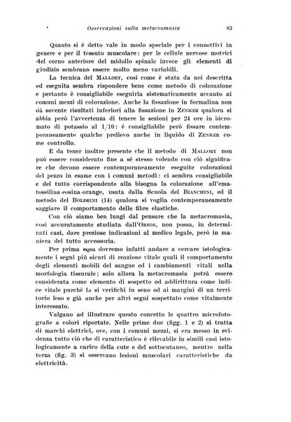 Archivio di antropologia criminale, psichiatria e medicina legale organo ufficiale della Associazione italiana di medicina legale e delle assicurazioni