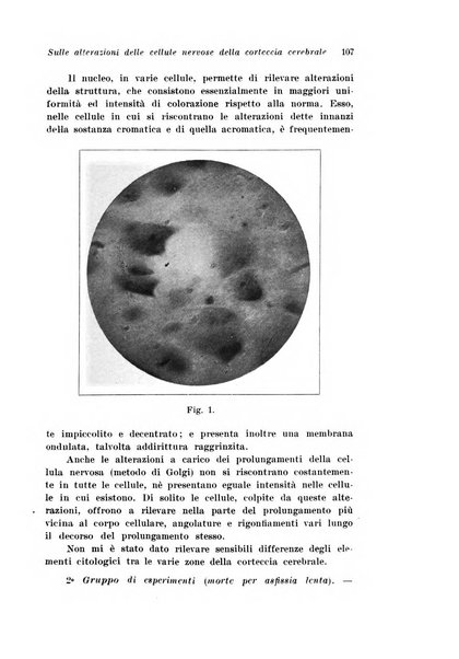 Archivio di antropologia criminale, psichiatria e medicina legale organo ufficiale della Associazione italiana di medicina legale e delle assicurazioni