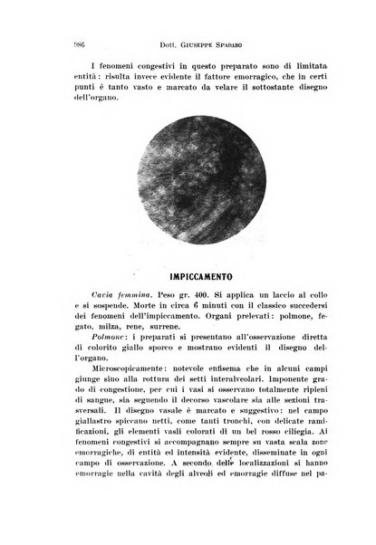 Archivio di antropologia criminale, psichiatria e medicina legale organo ufficiale della Associazione italiana di medicina legale e delle assicurazioni