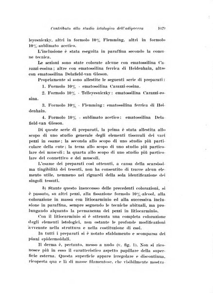 Archivio di antropologia criminale, psichiatria e medicina legale organo ufficiale della Associazione italiana di medicina legale e delle assicurazioni