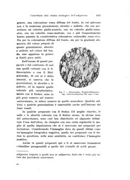 Archivio di antropologia criminale, psichiatria e medicina legale organo ufficiale della Associazione italiana di medicina legale e delle assicurazioni