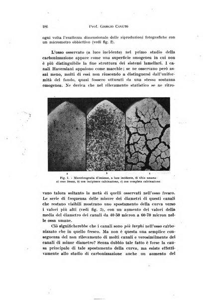 Archivio di antropologia criminale, psichiatria e medicina legale organo ufficiale della Associazione italiana di medicina legale e delle assicurazioni