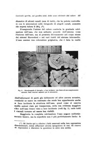 Archivio di antropologia criminale, psichiatria e medicina legale organo ufficiale della Associazione italiana di medicina legale e delle assicurazioni