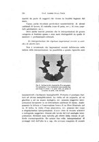 giornale/TO00177017/1941/unico/00000802