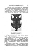 giornale/TO00177017/1941/unico/00000809