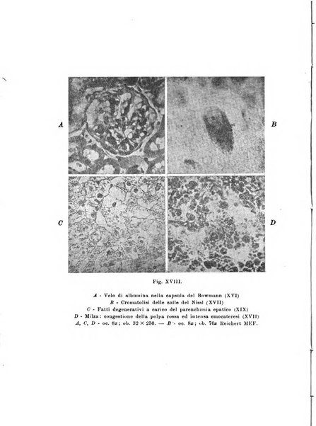 Archivio di antropologia criminale, psichiatria e medicina legale organo ufficiale della Associazione italiana di medicina legale e delle assicurazioni