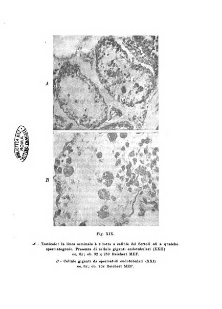 Archivio di antropologia criminale, psichiatria e medicina legale organo ufficiale della Associazione italiana di medicina legale e delle assicurazioni