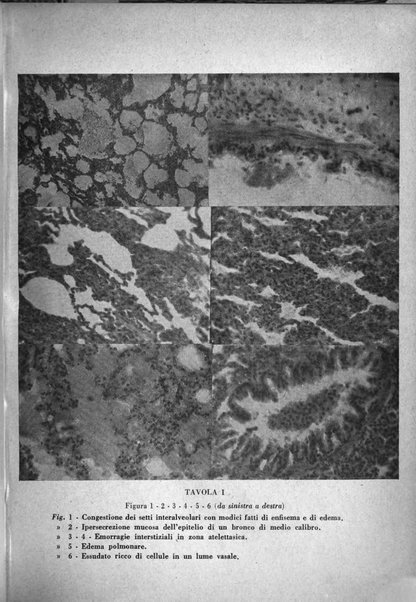 Archivio di antropologia criminale, psichiatria e medicina legale organo ufficiale della Associazione italiana di medicina legale e delle assicurazioni