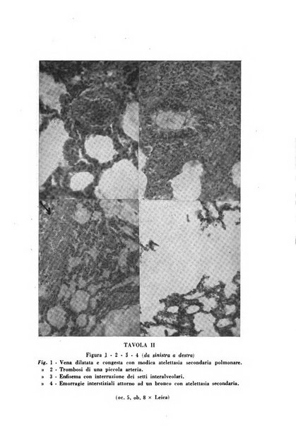 Archivio di antropologia criminale, psichiatria e medicina legale organo ufficiale della Associazione italiana di medicina legale e delle assicurazioni