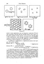 giornale/TO00177017/1946/unico/00000222