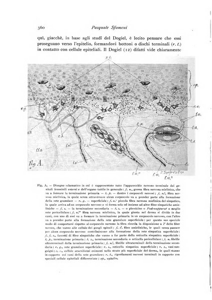 Archivio di fisiologia