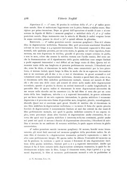 Archivio di fisiologia