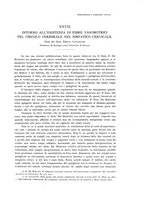 giornale/TO00177025/1905/unico/00000425