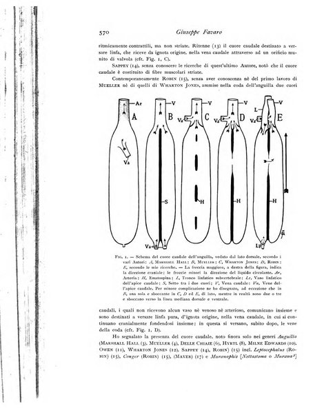 Archivio di fisiologia