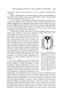 giornale/TO00177025/1905/unico/00000619