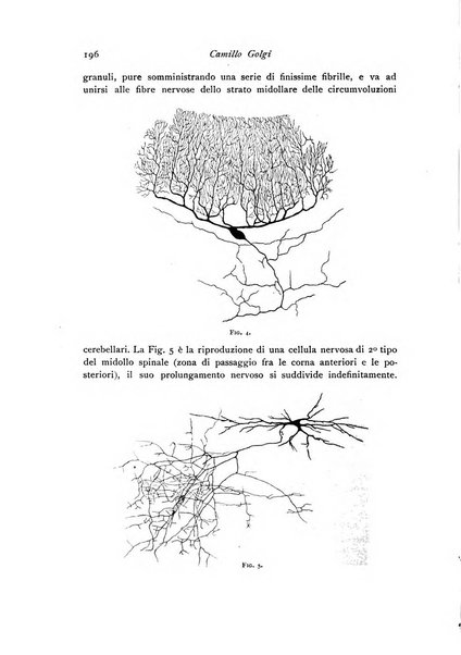 Archivio di fisiologia