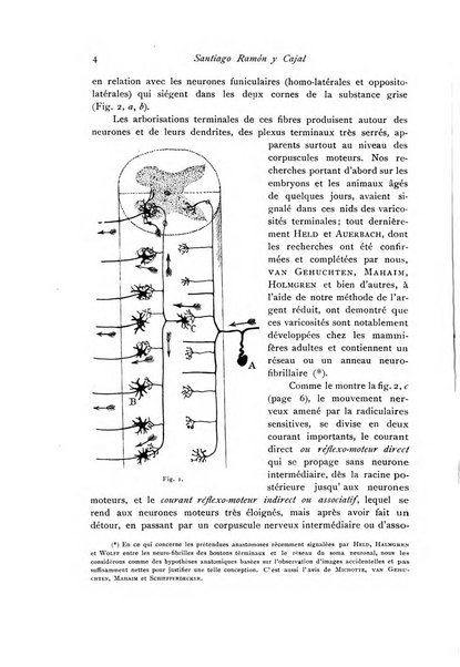 Archivio di fisiologia