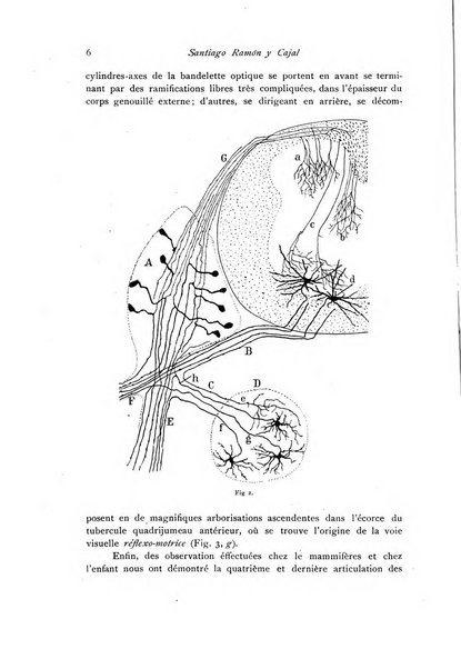 Archivio di fisiologia