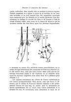 giornale/TO00177025/1908/unico/00000023