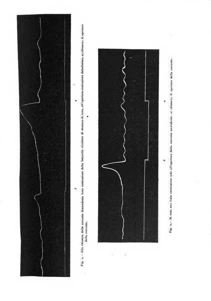 Archivio di fisiologia