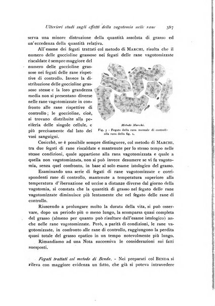 Archivio di fisiologia