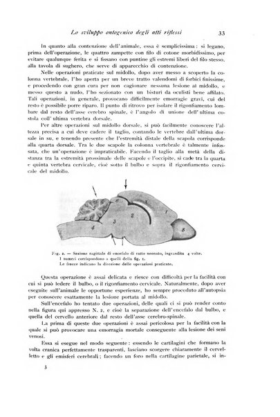 Archivio di fisiologia