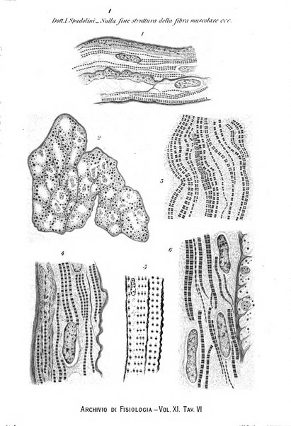 Archivio di fisiologia