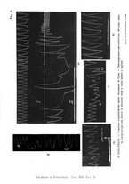 giornale/TO00177025/1914/unico/00000073