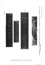 giornale/TO00177025/1914/unico/00000095