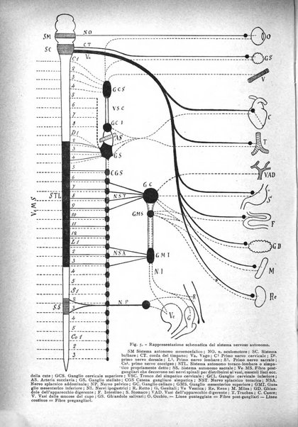 Archivio di fisiologia