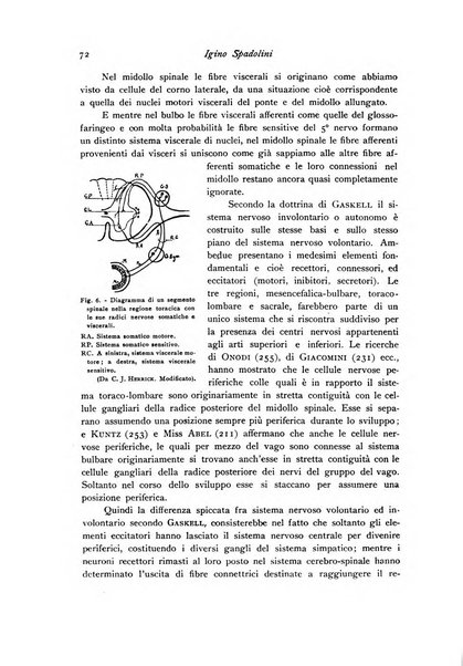 Archivio di fisiologia