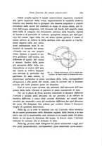 giornale/TO00177025/1916-1917/unico/00000309