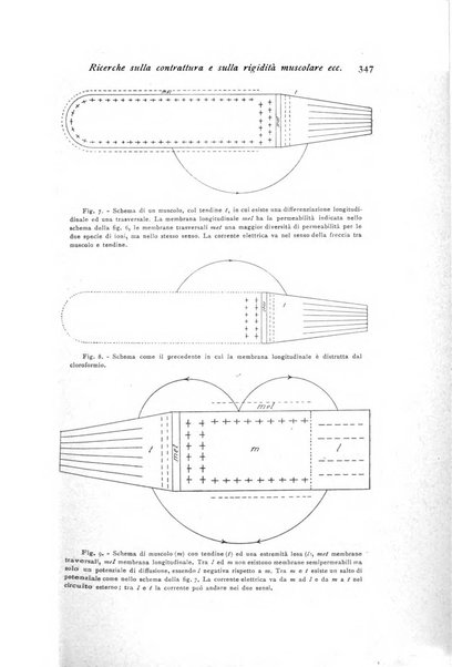 Archivio di fisiologia