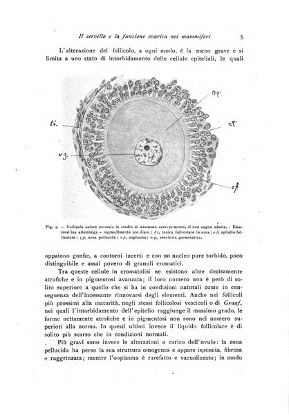 Archivio di fisiologia