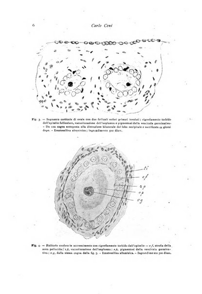 Archivio di fisiologia