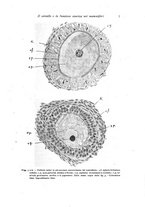 giornale/TO00177025/1917-1918/unico/00000021