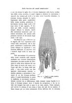 giornale/TO00177025/1919/unico/00000245