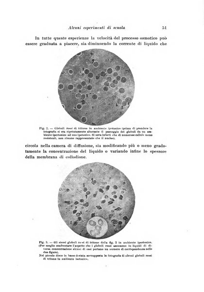 Archivio di fisiologia