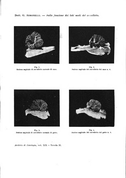 Archivio di fisiologia