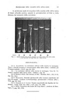 giornale/TO00177025/1922/unico/00000021