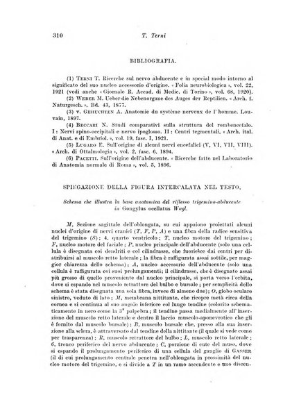 Archivio di fisiologia