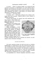 giornale/TO00177025/1922/unico/00000445