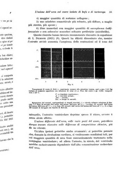 Archivio di fisiologia