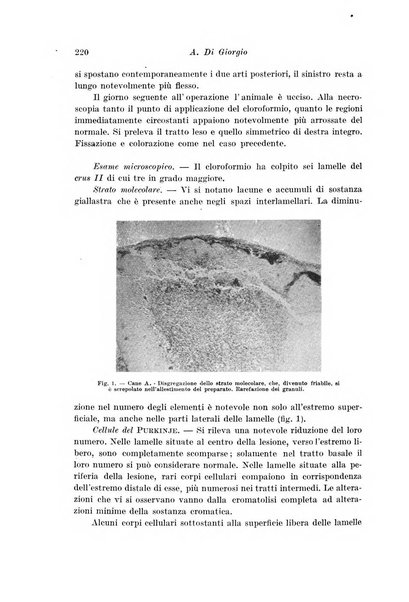 Archivio di fisiologia