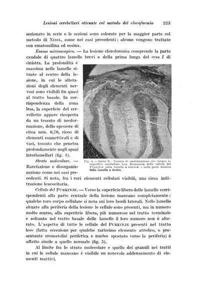 Archivio di fisiologia