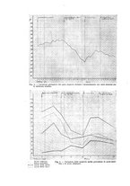 giornale/TO00177025/1923/unico/00000486