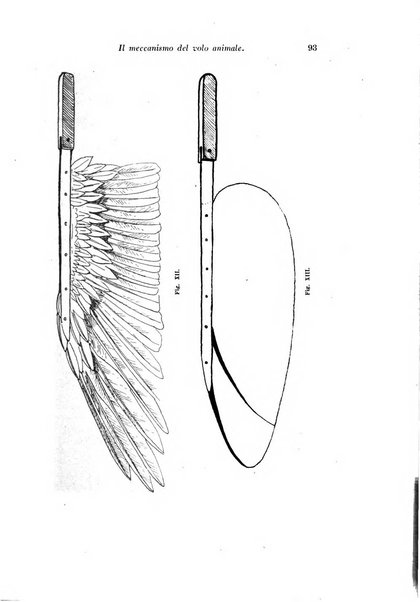 Archivio di fisiologia